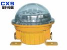 Explosion-Proof Solid State Strong Light 